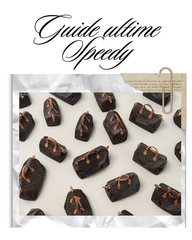 👜 Le guide ultime du sac Speedy Louis Vuitton : tailles, toiles, entretien et authentification
