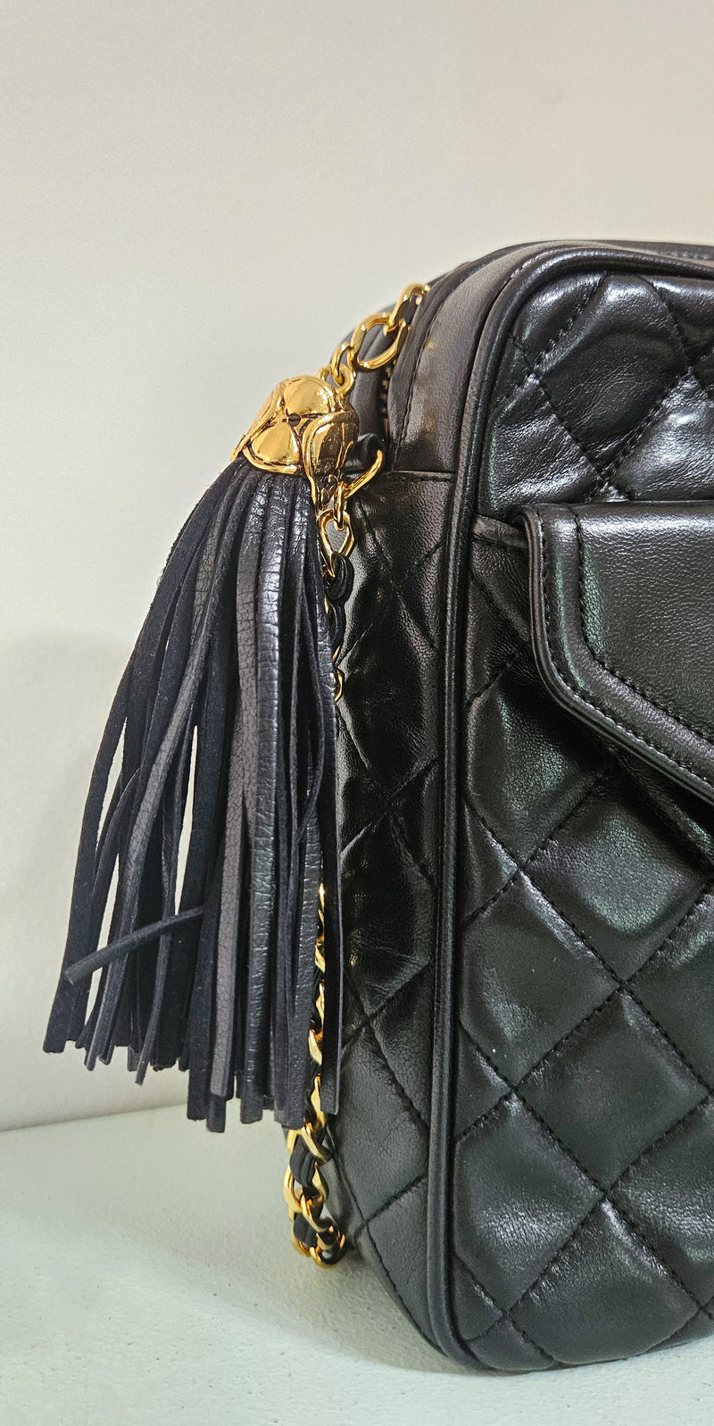 Vintage Chanel Camera Bag in Quilted Lambskin (2013-2014)