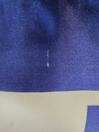 Vintage Celine 100% Silk Scarf – Blue & White Equestrian Print