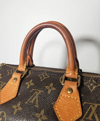 Louis Vuitton Speedy 25 Monogram
