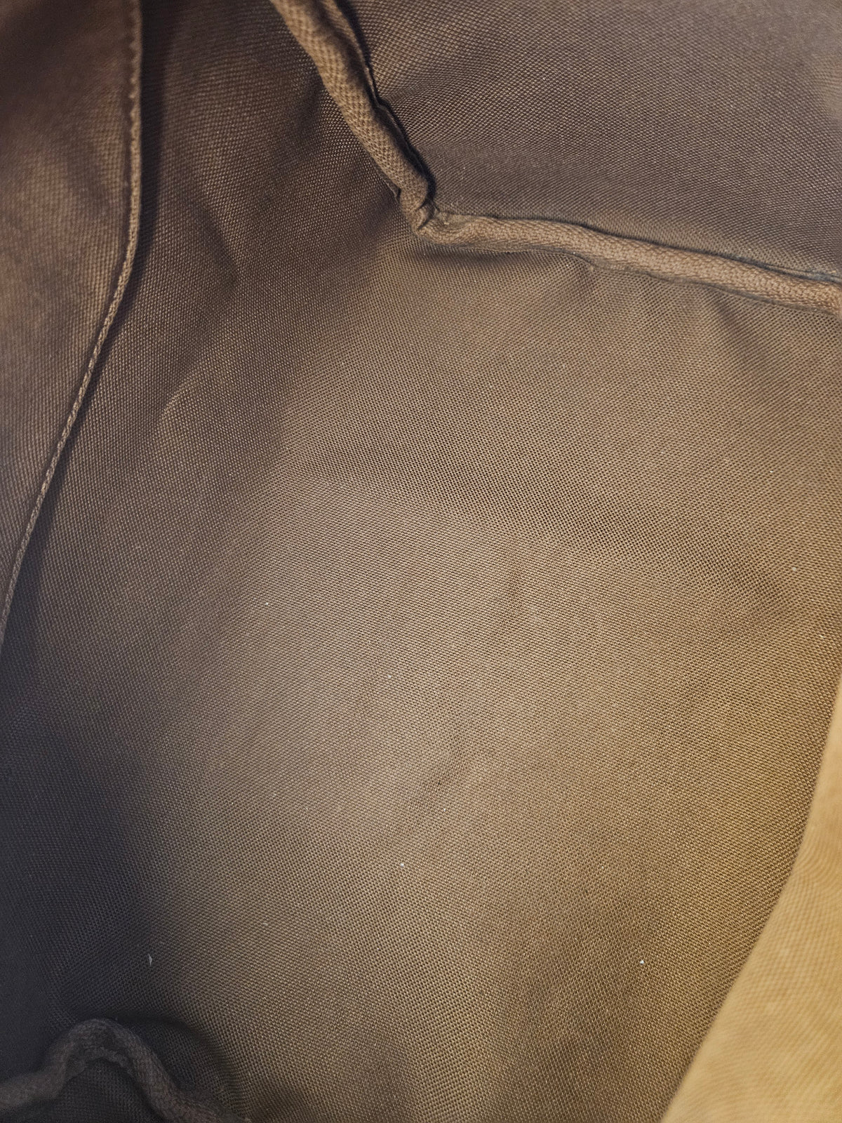 Louis Vuitton Speedy 25 Monogram