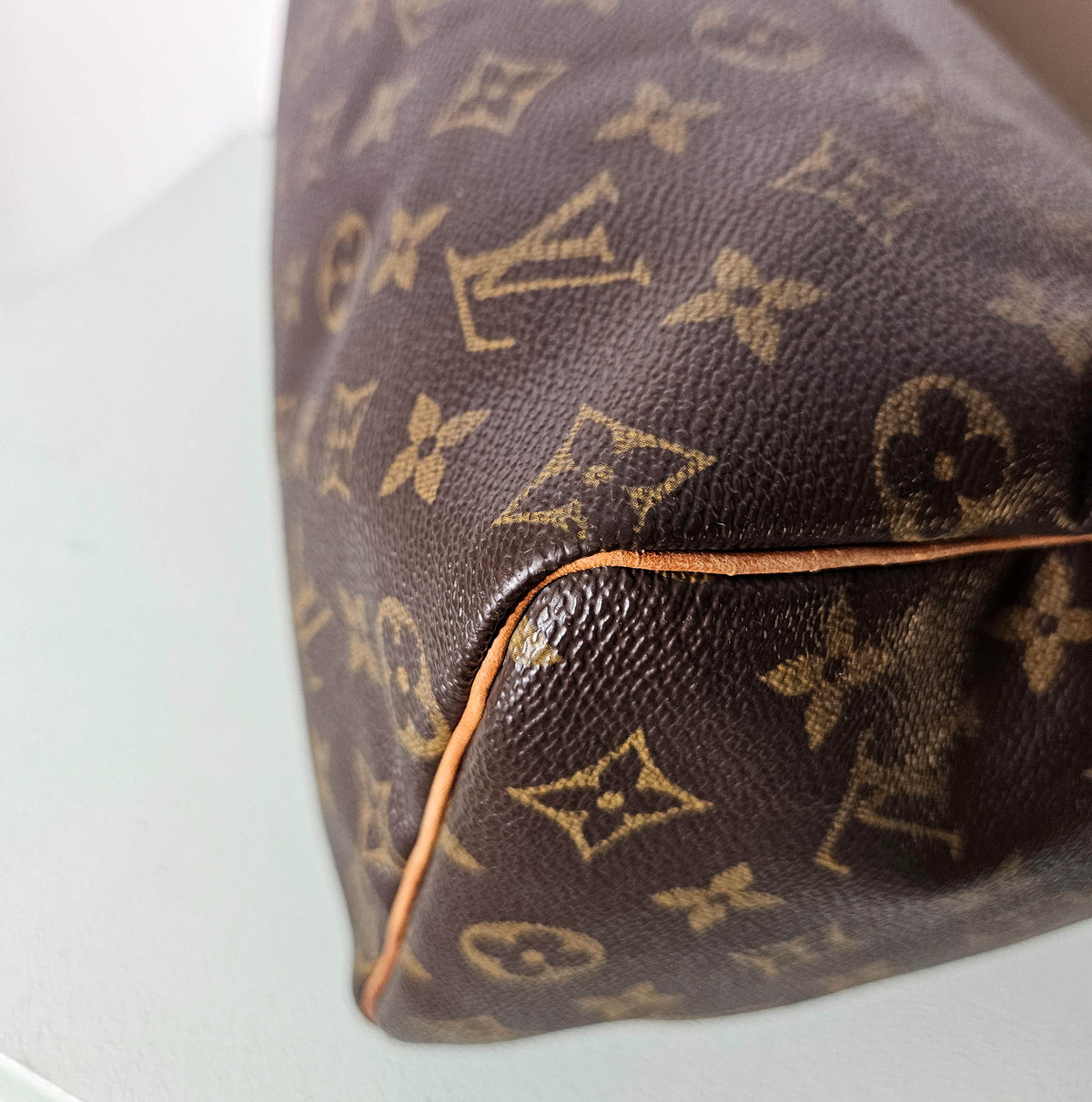 Louis Vuitton Speedy 25 Monogram
