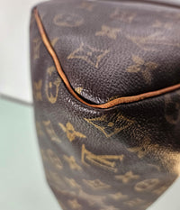 Louis Vuitton Speedy 25 Monogram