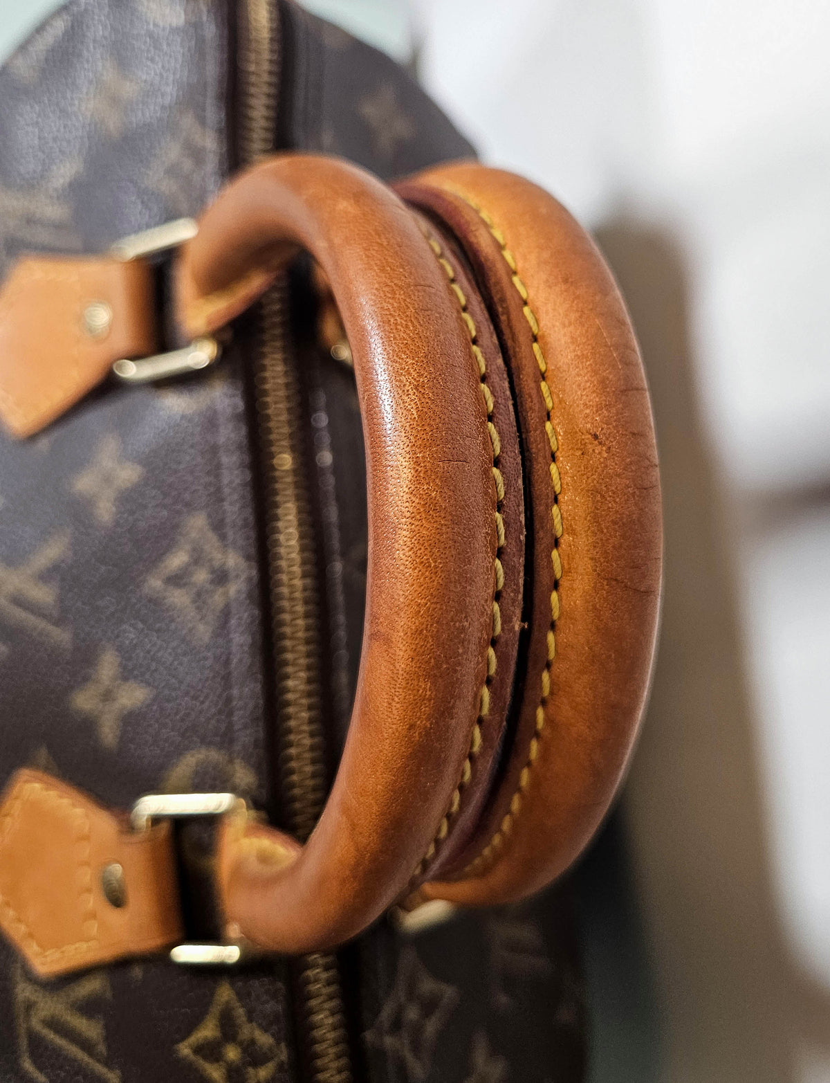 Louis Vuitton Speedy 25 Monogram