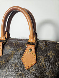 Louis Vuitton Speedy 25 Monogram