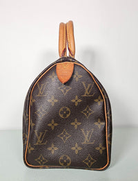 Louis Vuitton Speedy 25 Monogram