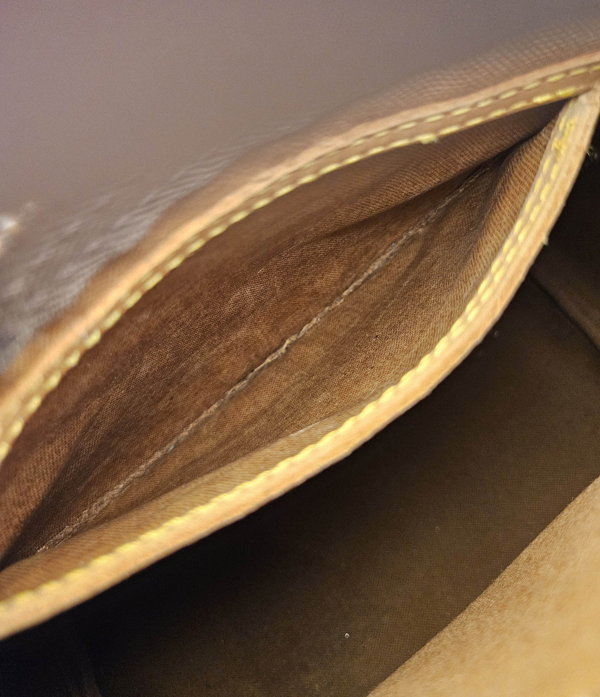 Louis Vuitton Speedy 25 Monogram