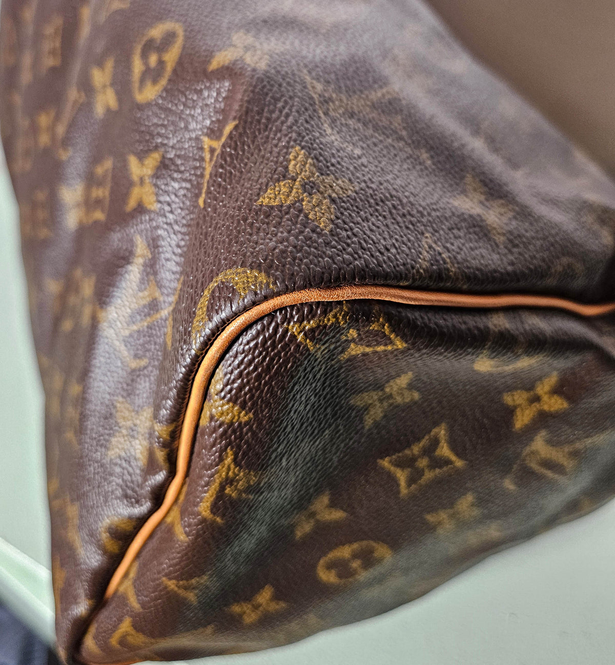 Louis Vuitton Speedy 30 Monogram
