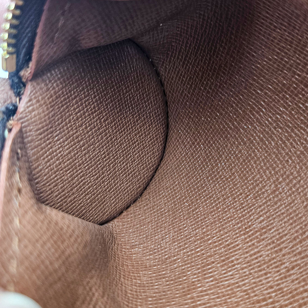 Louis Vuitton Pochette Papillon Monogram