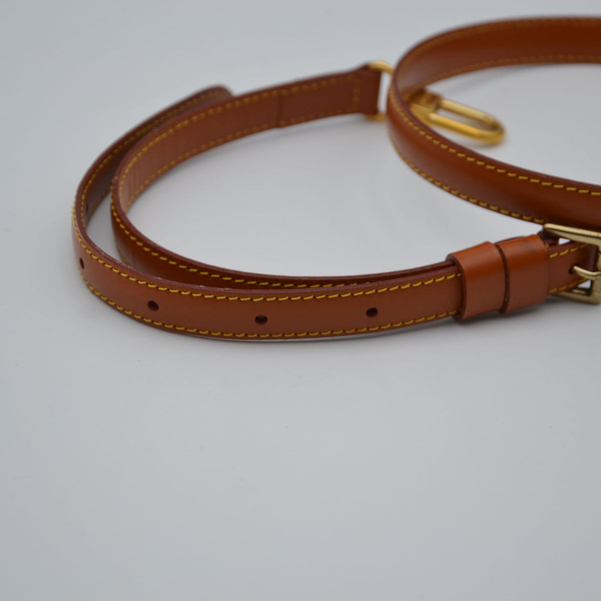 Louis Vuitton Alma PM Épi Cipango Gold
