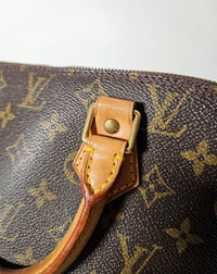 Louis Vuitton Alma PM Monogram