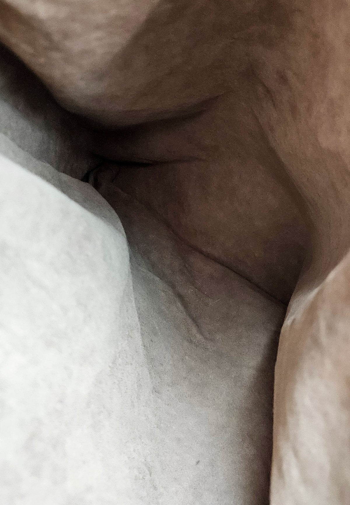 Sac Bottega Veneta Convertible Tote