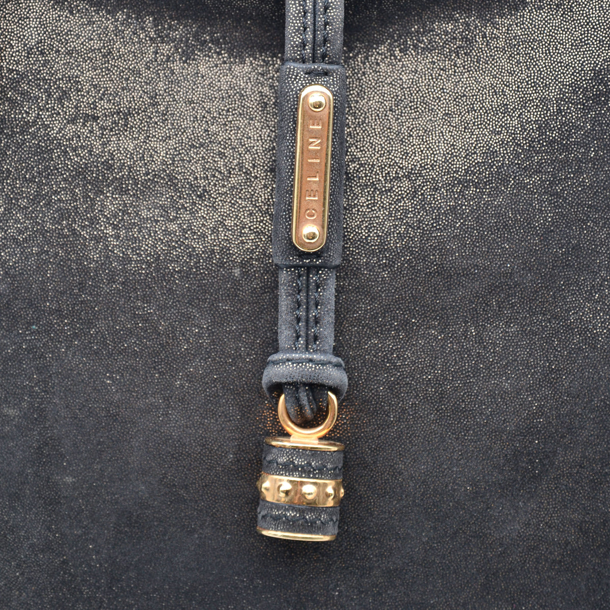 Sac Céline Vintage Logo Triomphe Suédine Irisée