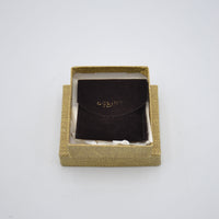 Celine Gold-Plated Triomphe Chain Necklace