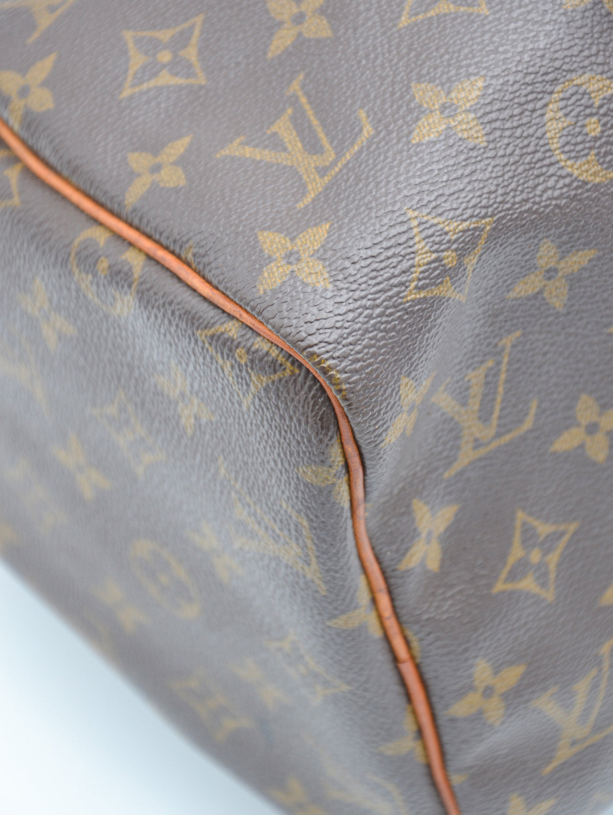 Louis Vuitton Speedy 30 Monogram