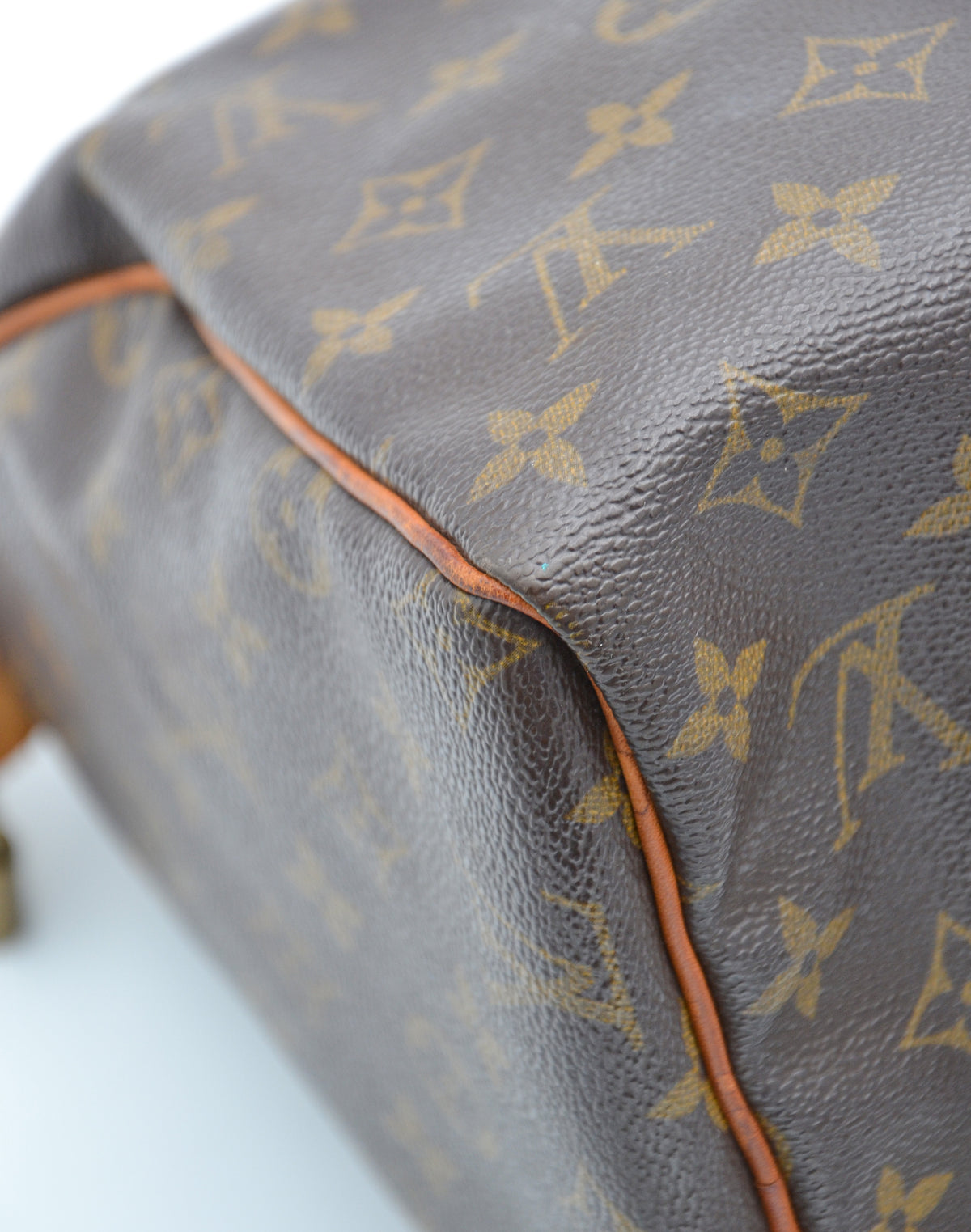 Louis Vuitton Speedy 30 Monogram