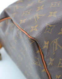 Louis Vuitton Speedy 30 Monogram
