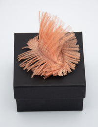 Broche Nautilus en Plumes