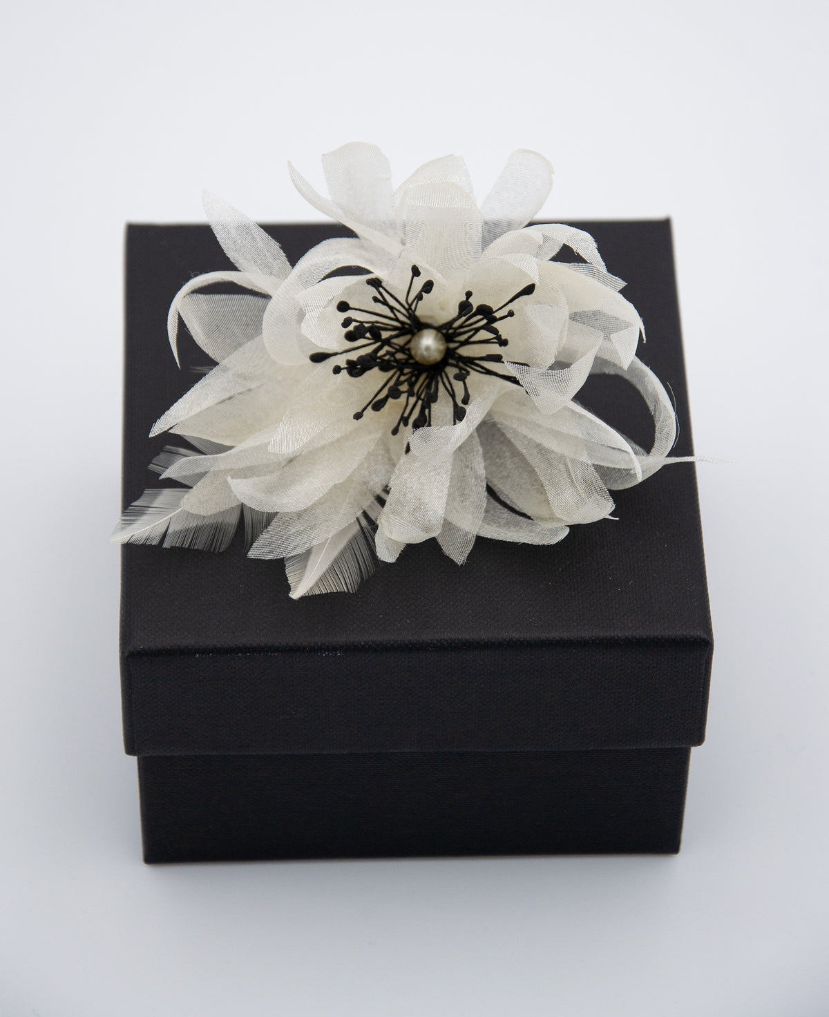 Broche Black & White en Organza de Soie & Plumes