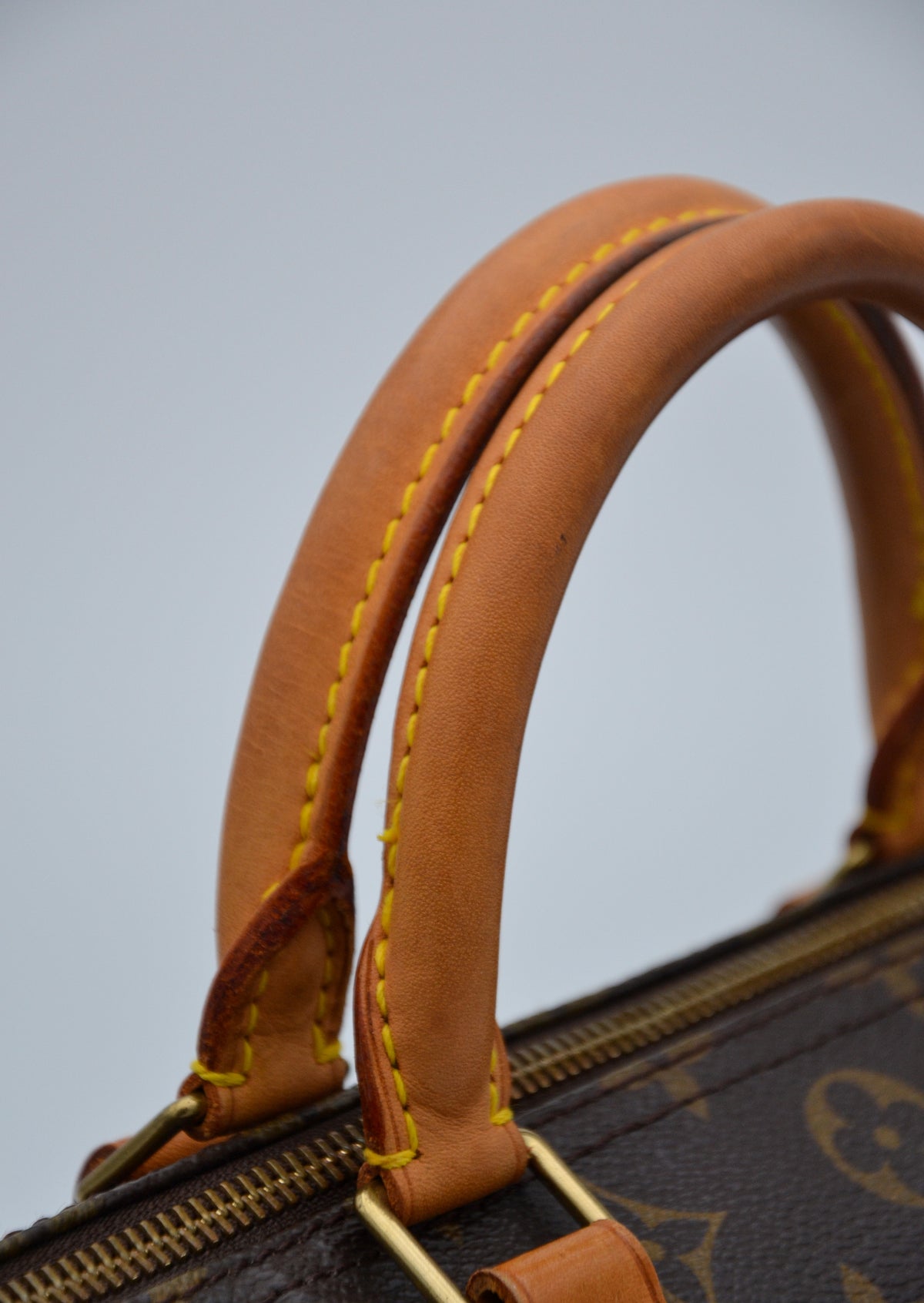 Louis Vuitton Speedy 30 Monogram