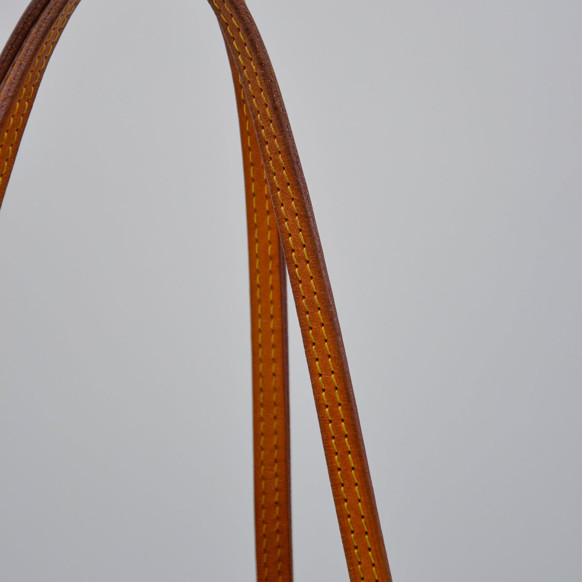 Louis Vuitton Neverfull PM Monogramme