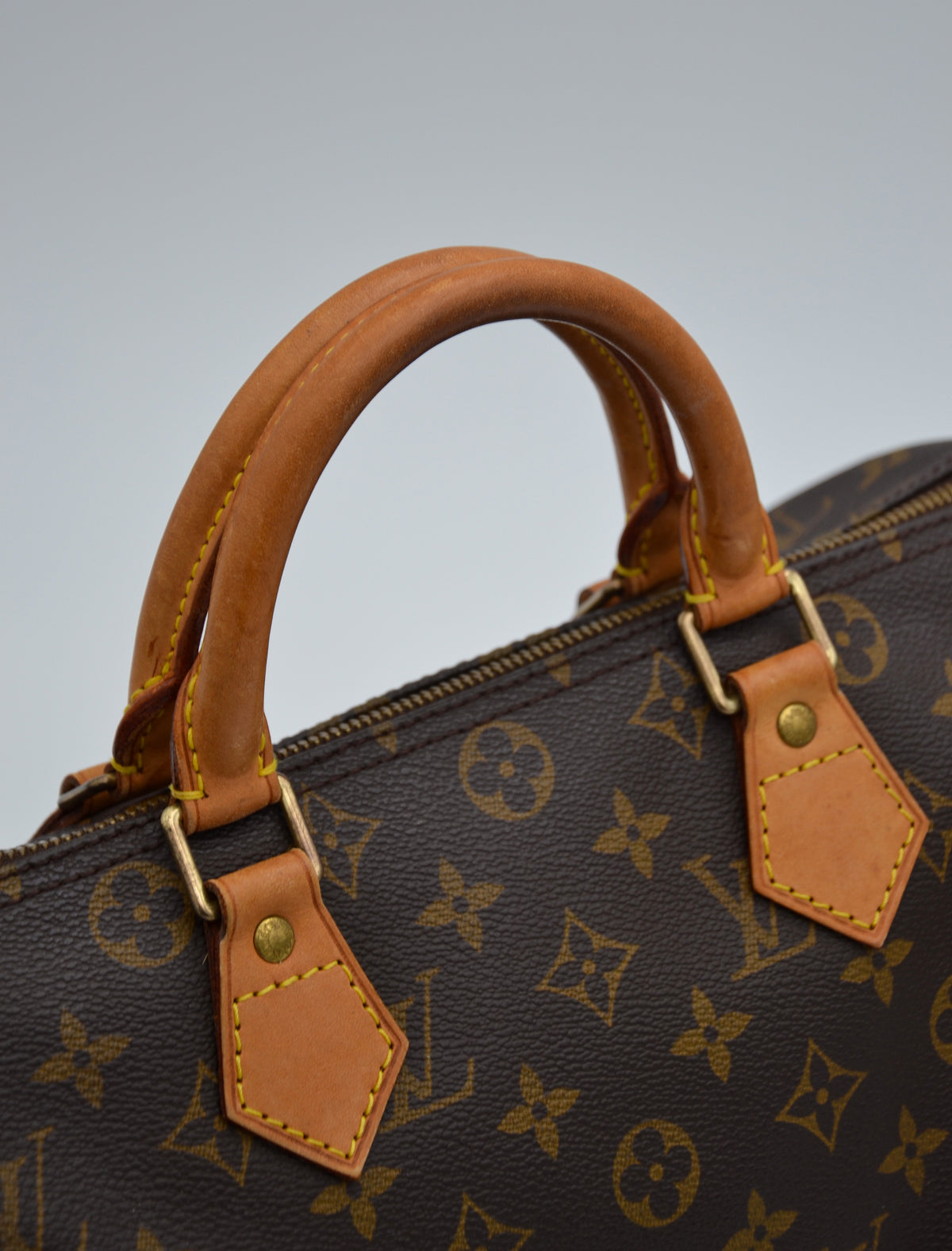 Louis Vuitton Speedy 30 Monogram