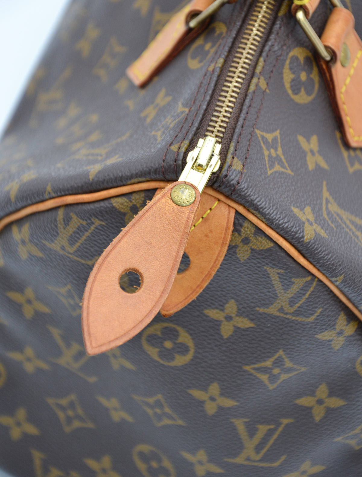 Louis Vuitton Speedy 30 Monogram