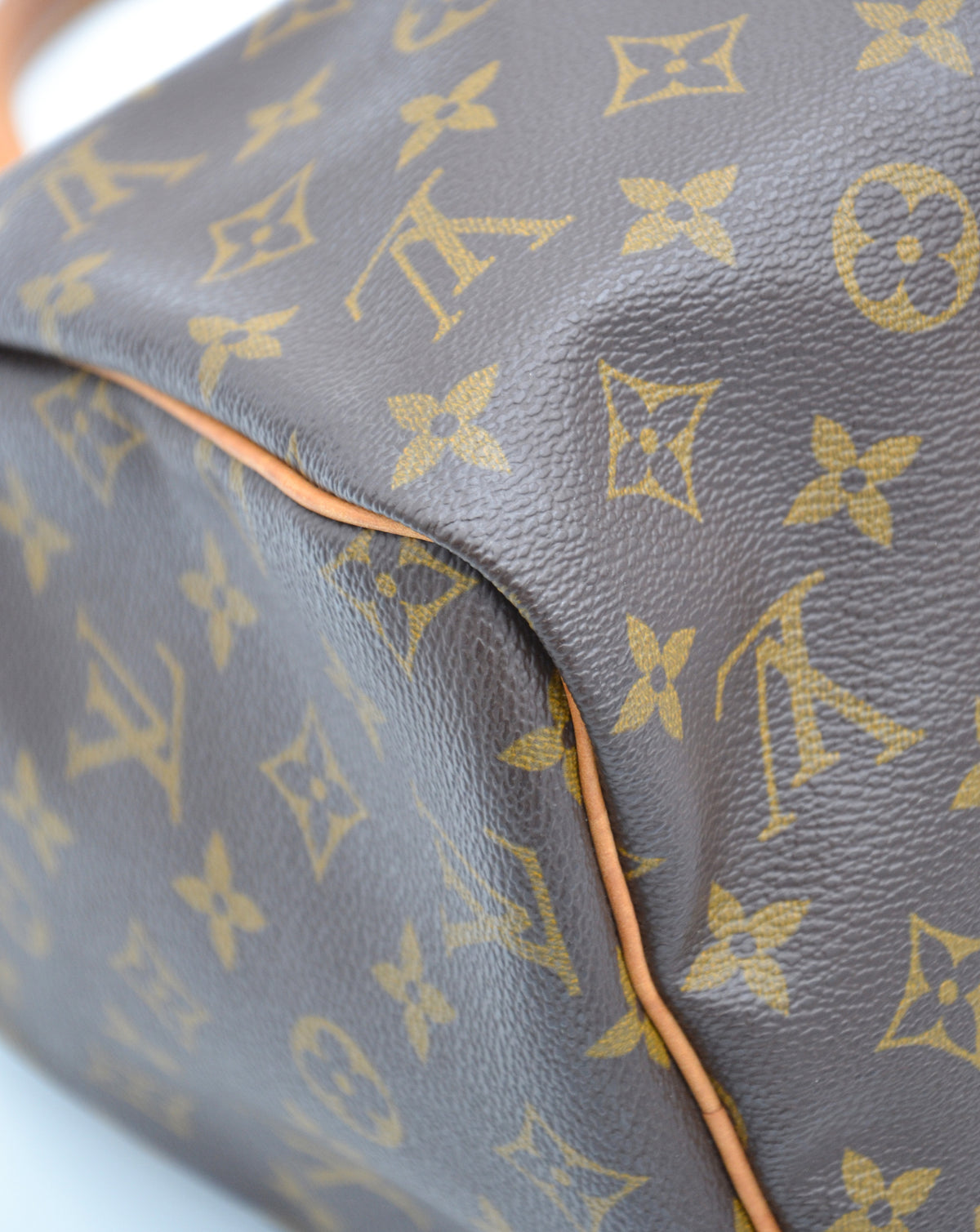 Louis Vuitton Speedy 30 Monogram