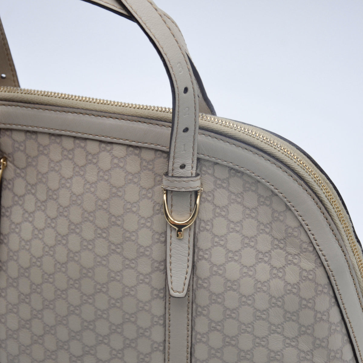 Gucci Dôme Micro Guccissima