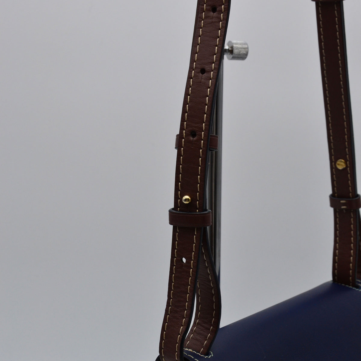 Loewe Gate Small Tricolore