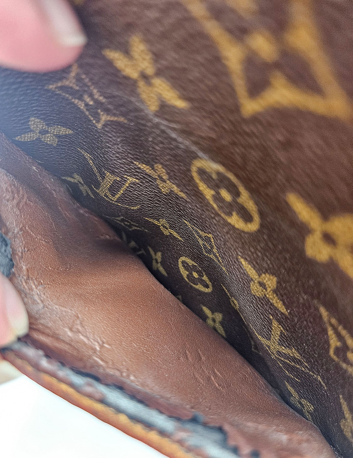 Danube Monogram crossbody