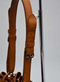 Sac Louis Vuitton Noé MM