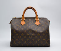 Louis Vuitton Speedy 30