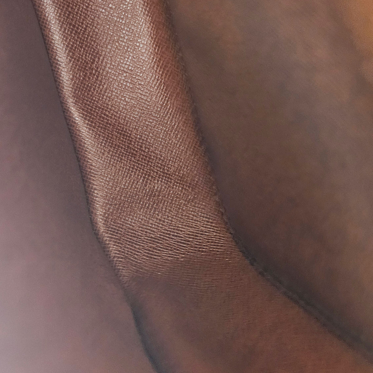 Saint-Cloud PM Cuir Epi
