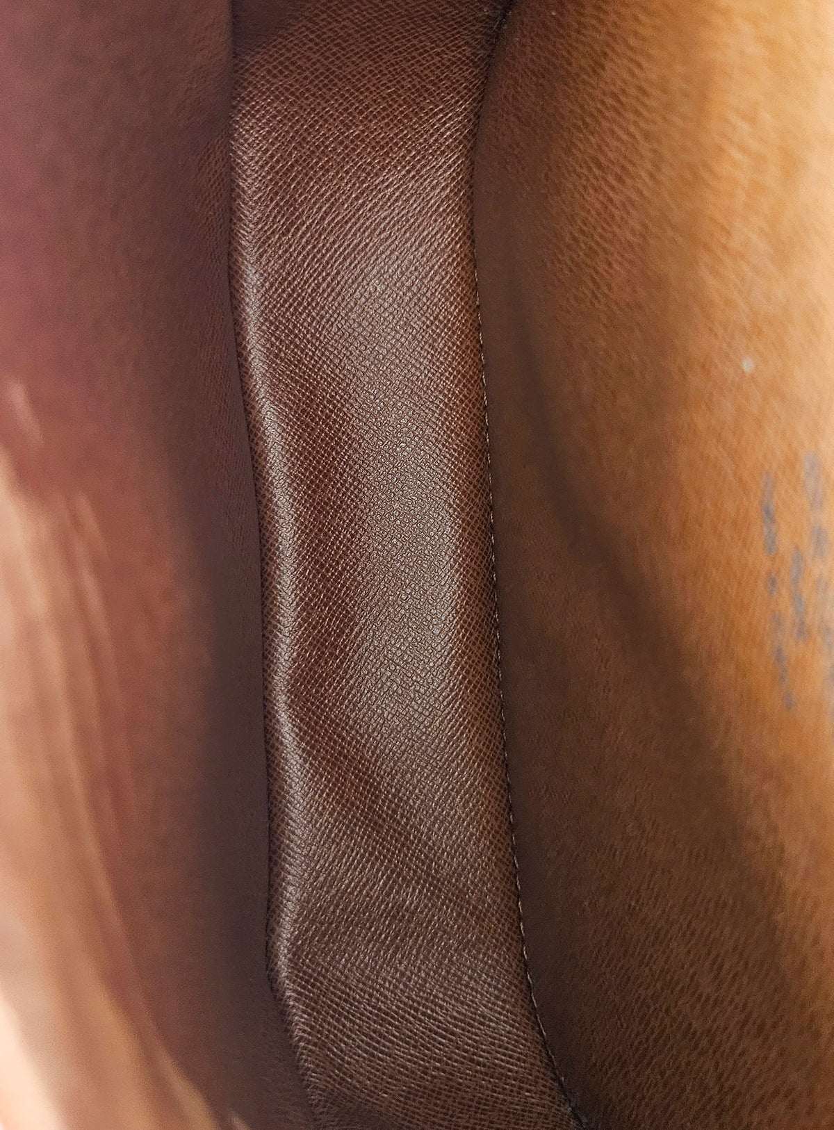 Saint-Cloud PM Cuir Epi