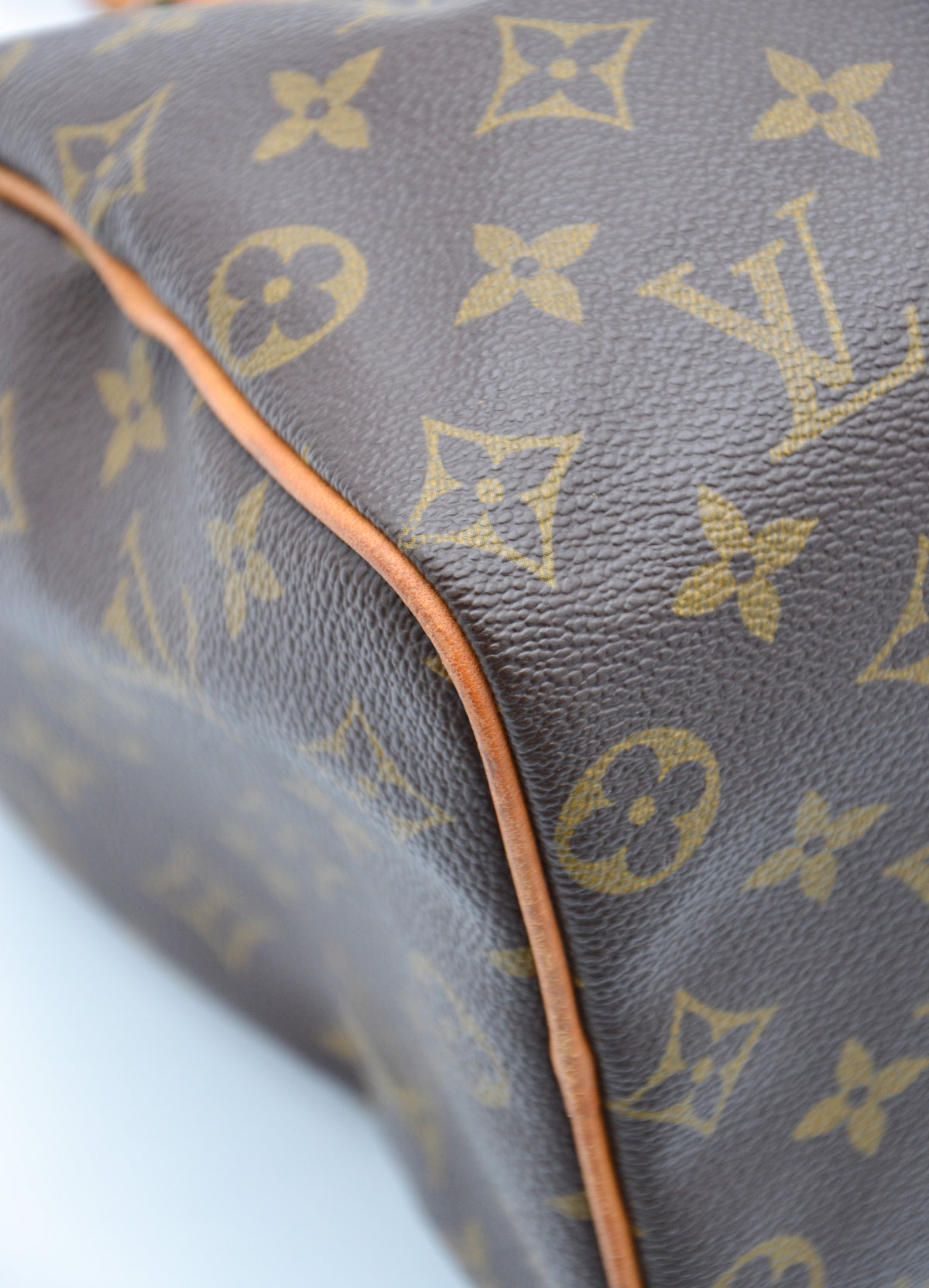 Louis Vuitton Speedy 25 Monogram
