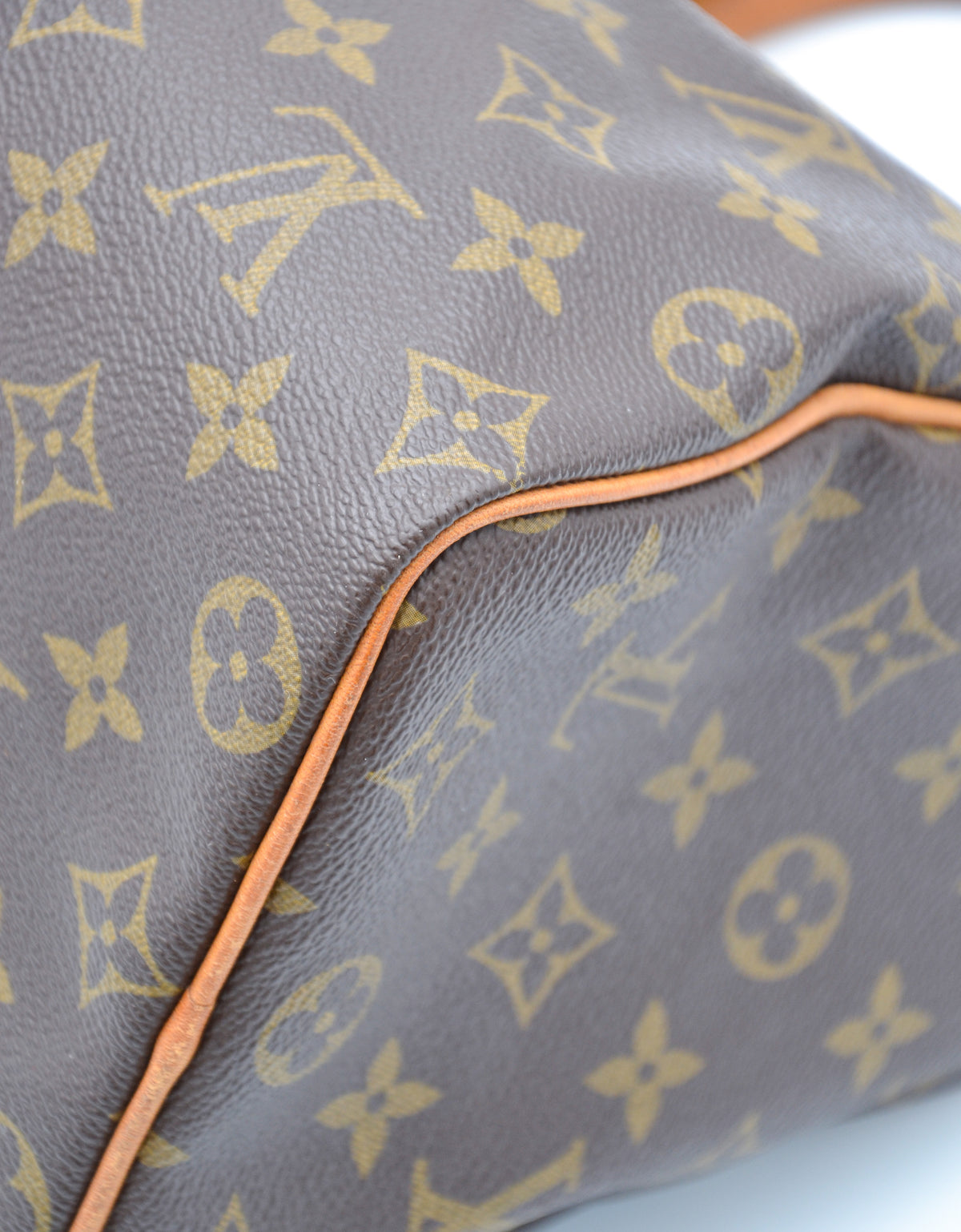 Louis Vuitton Speedy 25 Monogram