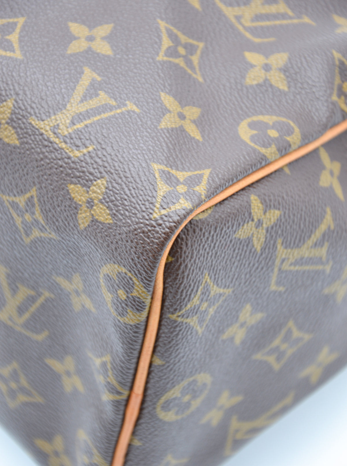 Louis Vuitton Speedy 25 Monogram