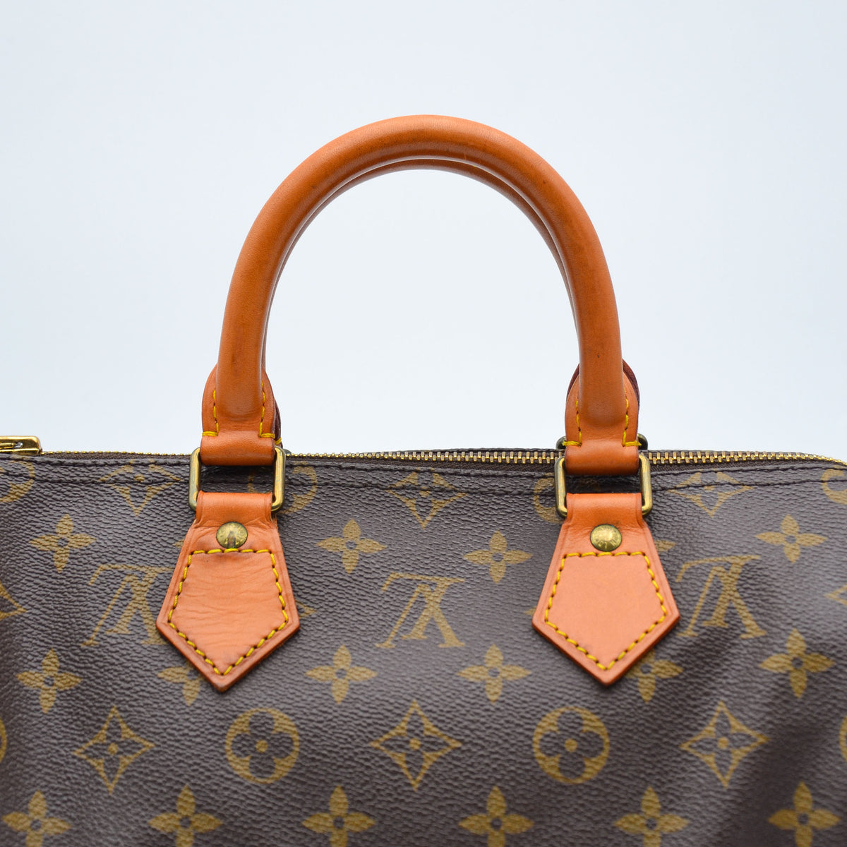 Louis Vuitton Speedy 25 Monogramme
