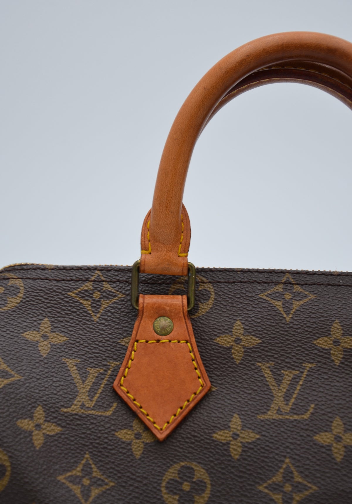Louis Vuitton Speedy 25 Monogram