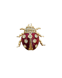 Christian Dior Ladybug Brooch