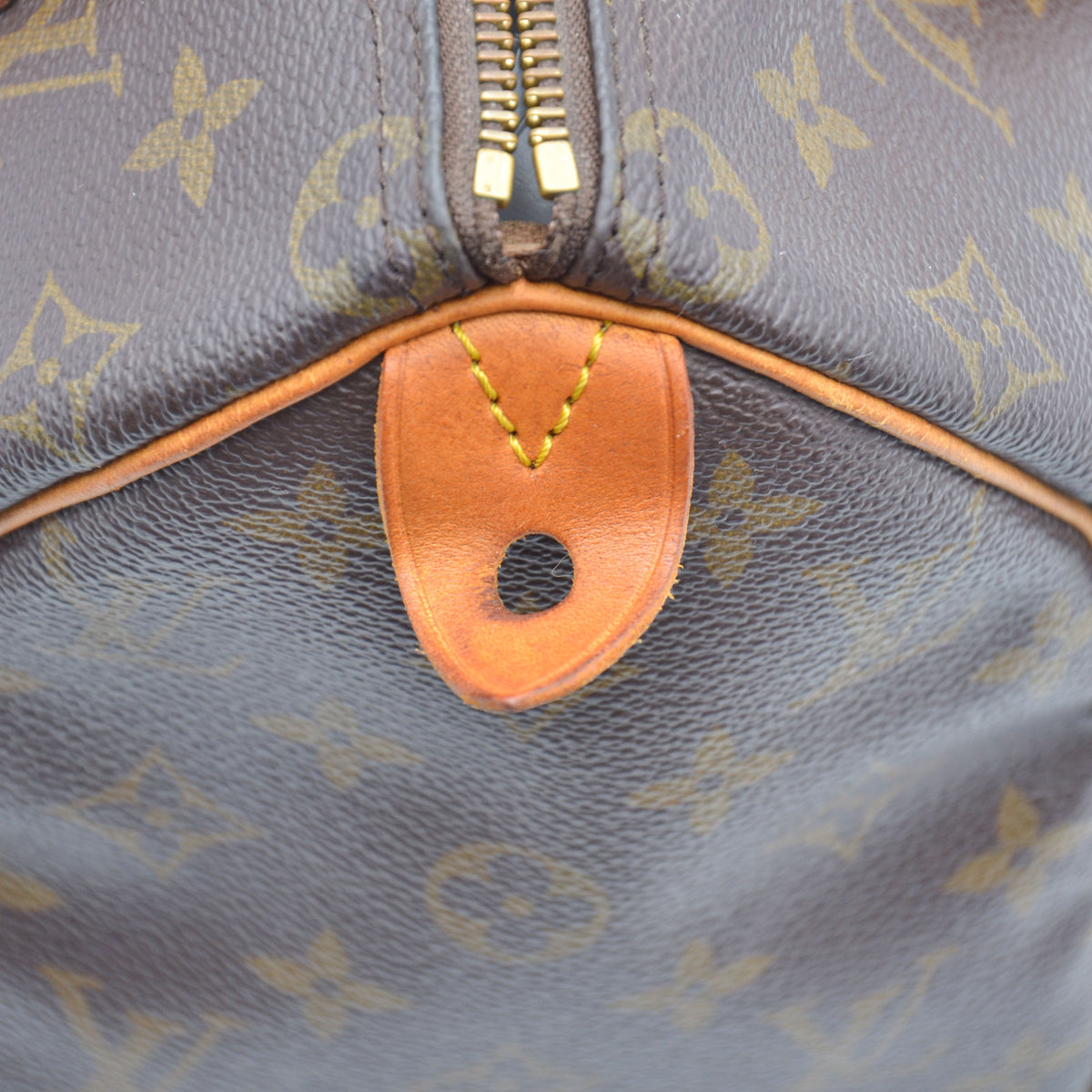 Louis Vuitton Speedy 25 Monogram