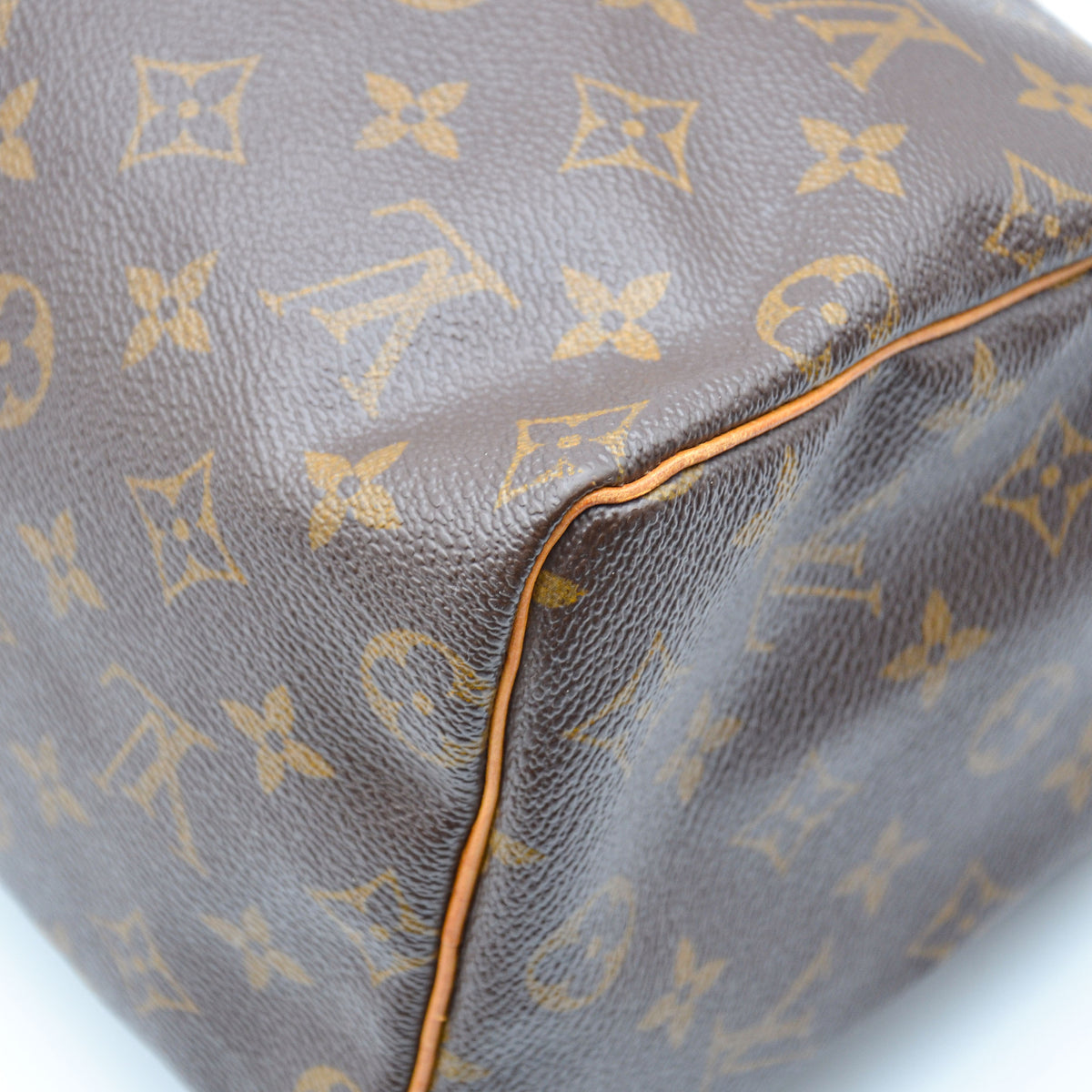 Louis Vuitton Speedy 25 Monogram
