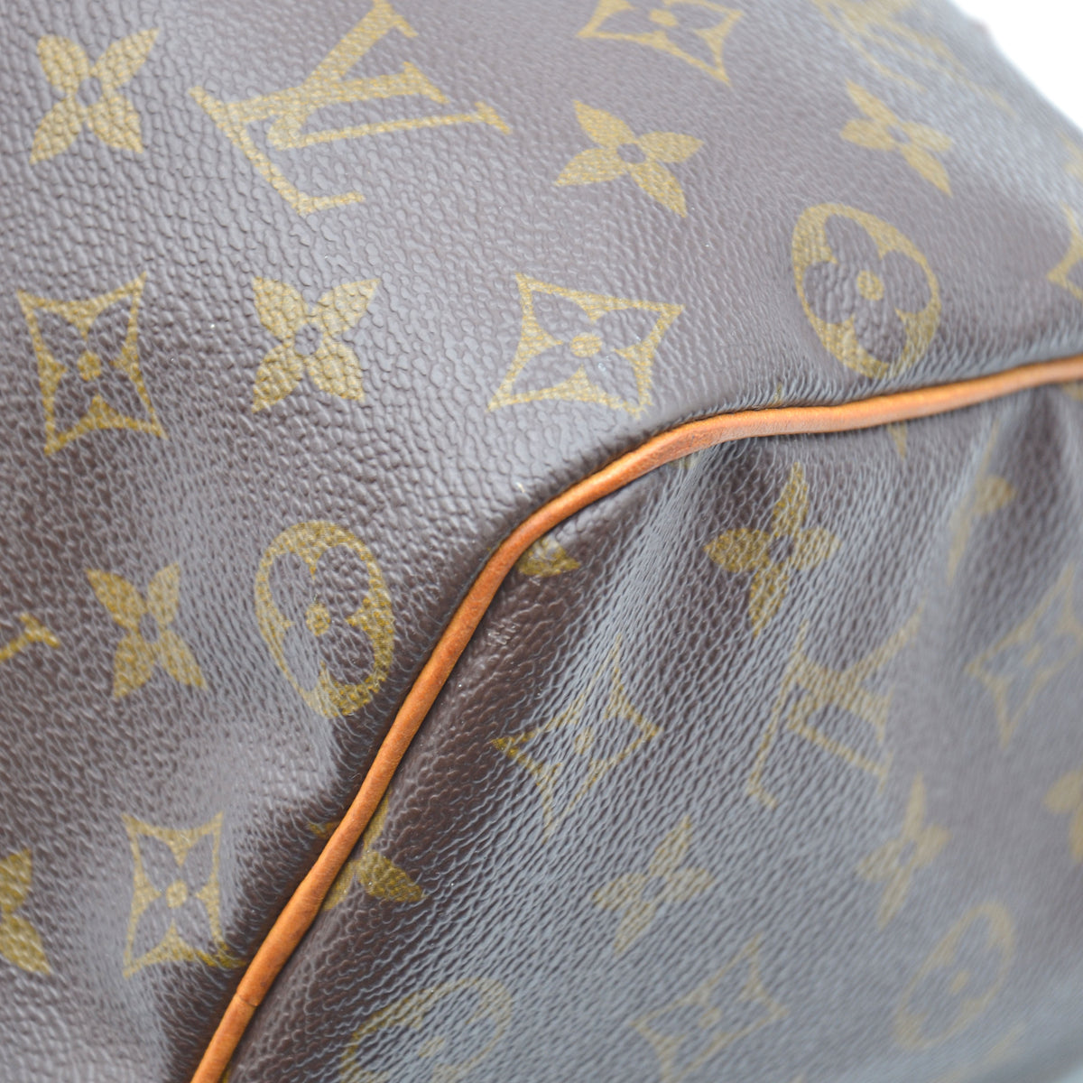 Louis Vuitton Speedy 25 Monogram