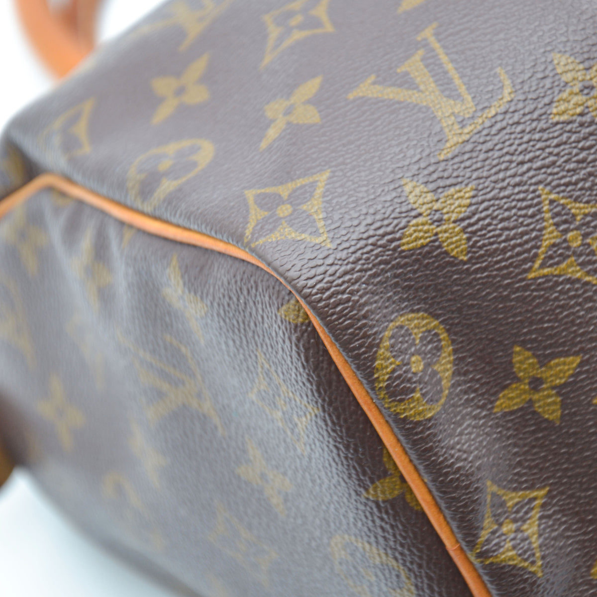 Louis Vuitton Speedy 25 Monogram