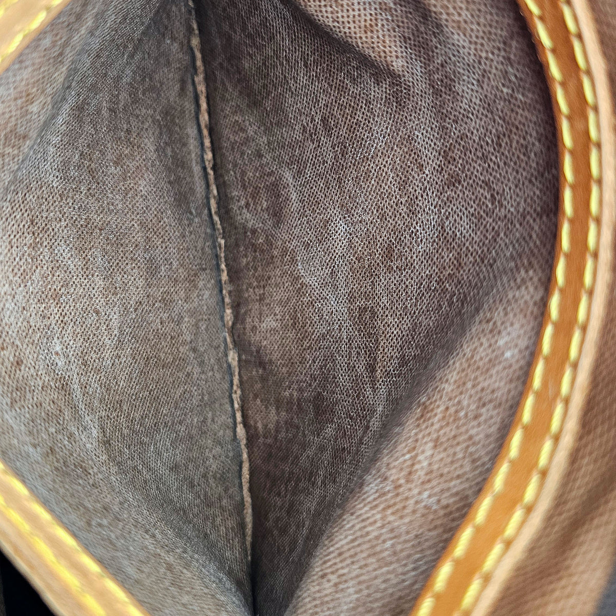 Louis Vuitton Speedy 25 Monogram