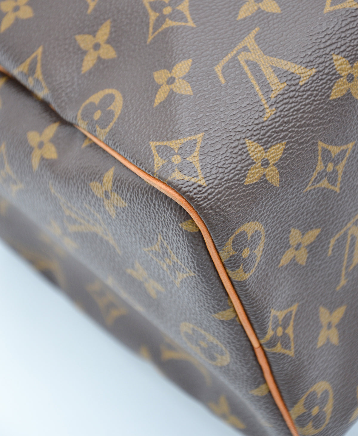 Louis Vuitton Speedy 25 Monogram