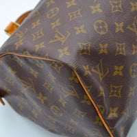 Louis Vuitton Speedy 30 Monogram