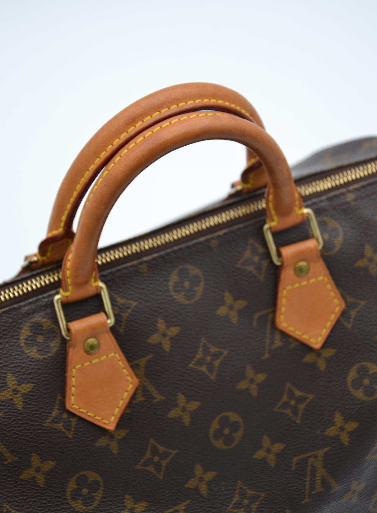 Louis Vuitton Speedy 30 Monogram