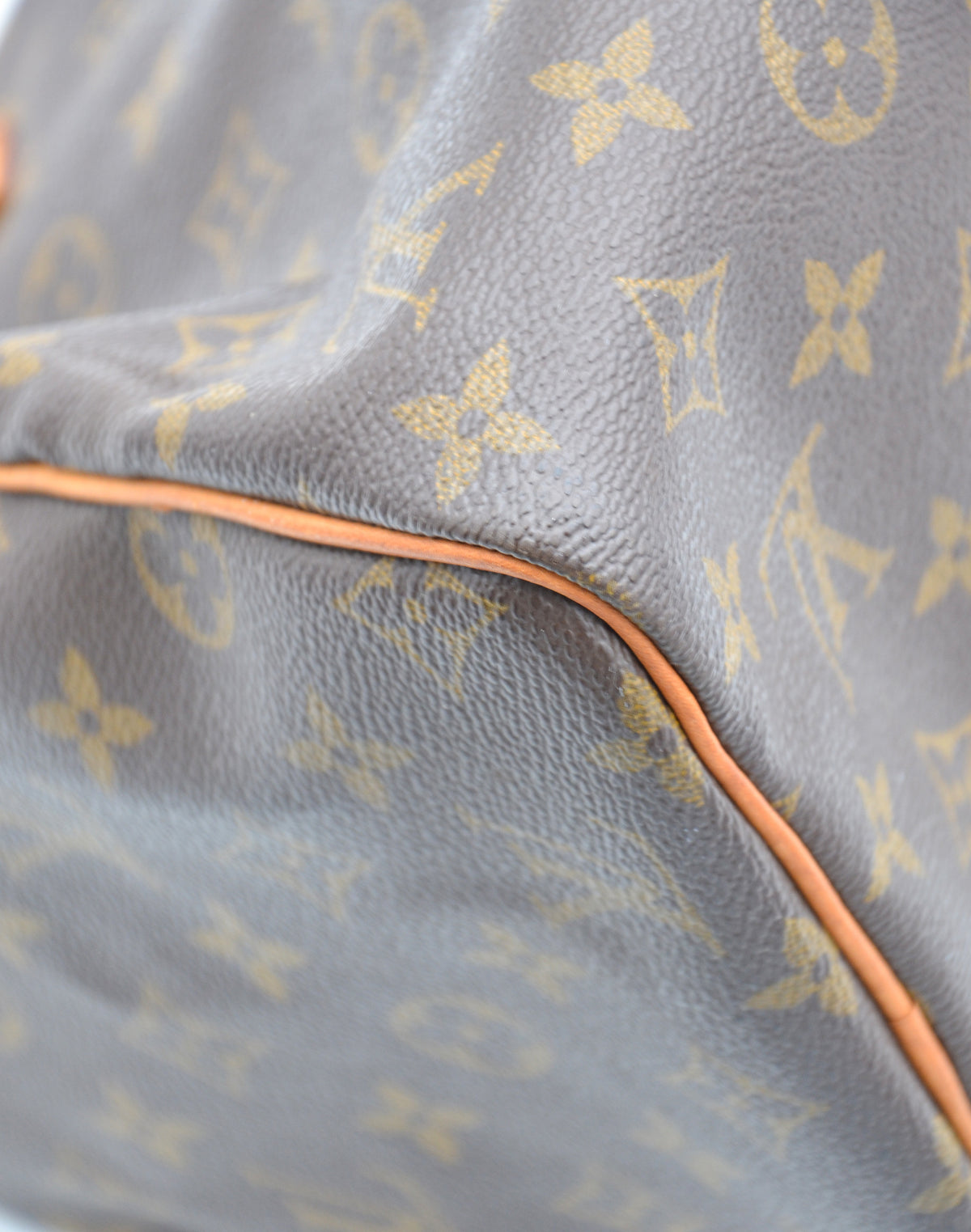 Louis Vuitton Speedy 30 Monogram